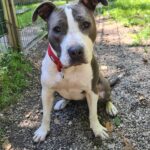 WhatsApp Bild 2025-09-17 um 11.16.12_c83b828c