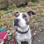 WhatsApp Image 2025-12-08 at 18.12.21_3