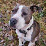 WhatsApp Image 2025-12-08 at 18.12.21_4