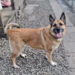 WhatsApp Image 2026-01-09 at 17.31.48