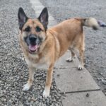 WhatsApp Image 2026-01-09 at 17.31.48_02