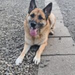 WhatsApp Image 2026-01-09 at 17.31.48_03