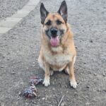 WhatsApp Image 2026-01-09 at 17.31.49_04