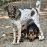 WhatsApp Image 2026-01-09 at 17.42.17