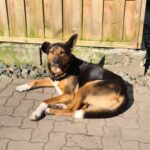 WhatsApp Image 2026-01-09 at 17.42.18_02