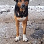 WhatsApp Image 2026-01-09 at 17.42.19_03