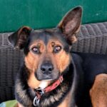 WhatsApp Image 2026-01-09 at 17.42.19_04