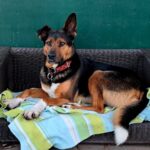 WhatsApp Image 2026-01-09 at 17.42.19_05