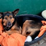 WhatsApp Image 2026-01-09 at 17.42.19_06