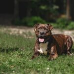 WhatsApp Image 2026-01-12 at 14.31.01