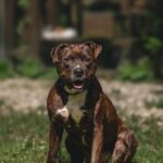 WhatsApp Image 2026-01-12 at 14.31.02_05