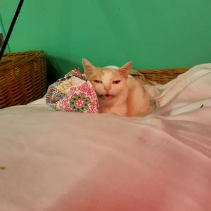 Grummel Grummel