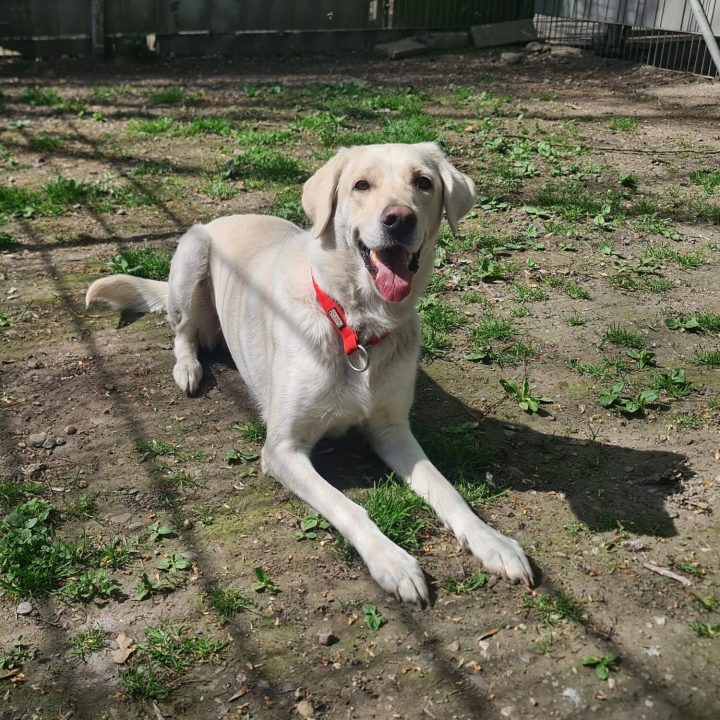 WhatsApp Image 2026-04-15 at 11.52.04