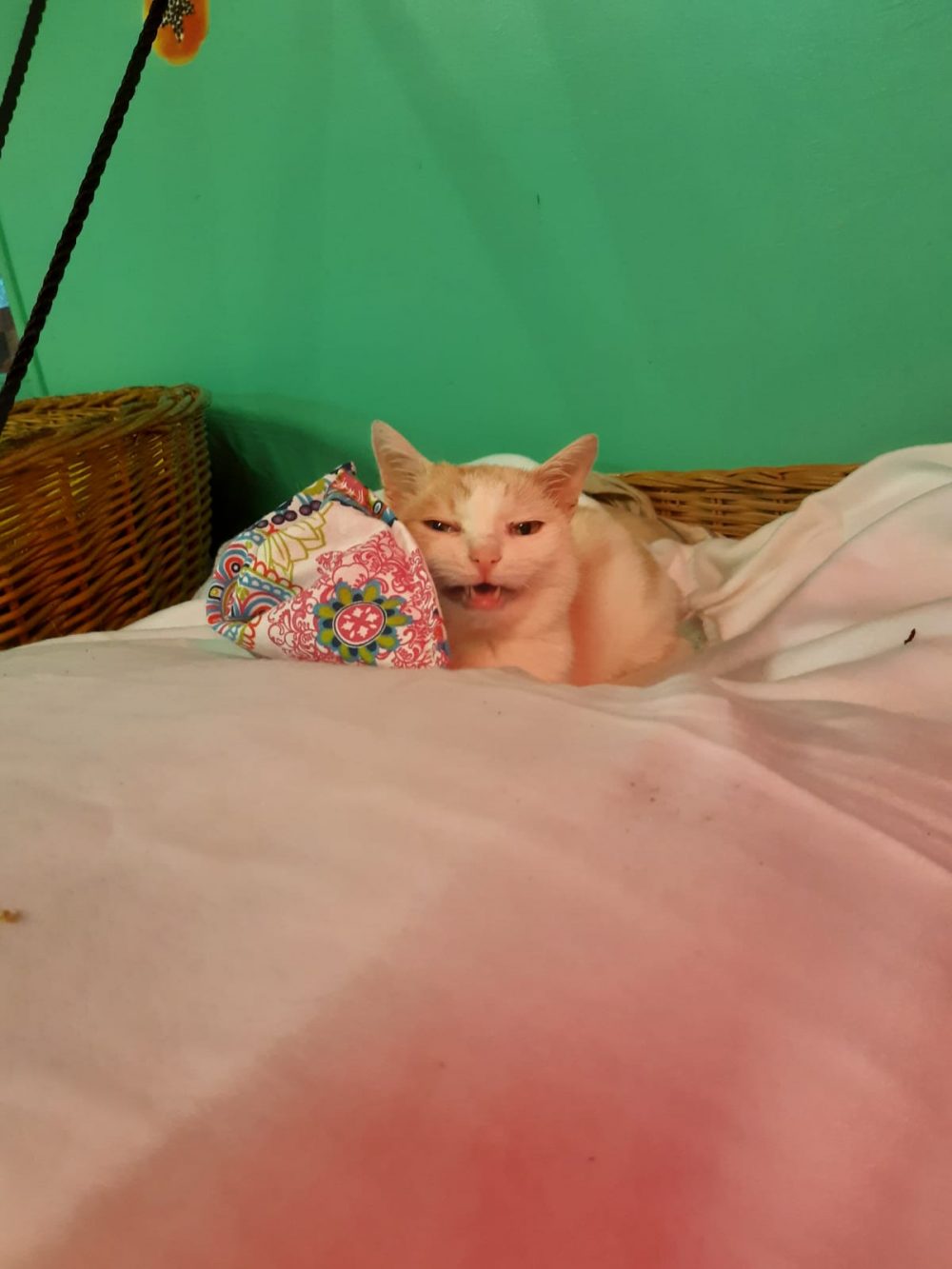 Grummel Grummel