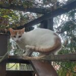 WhatsApp Bild 2025-10-27 um 14.45.37_1814d833