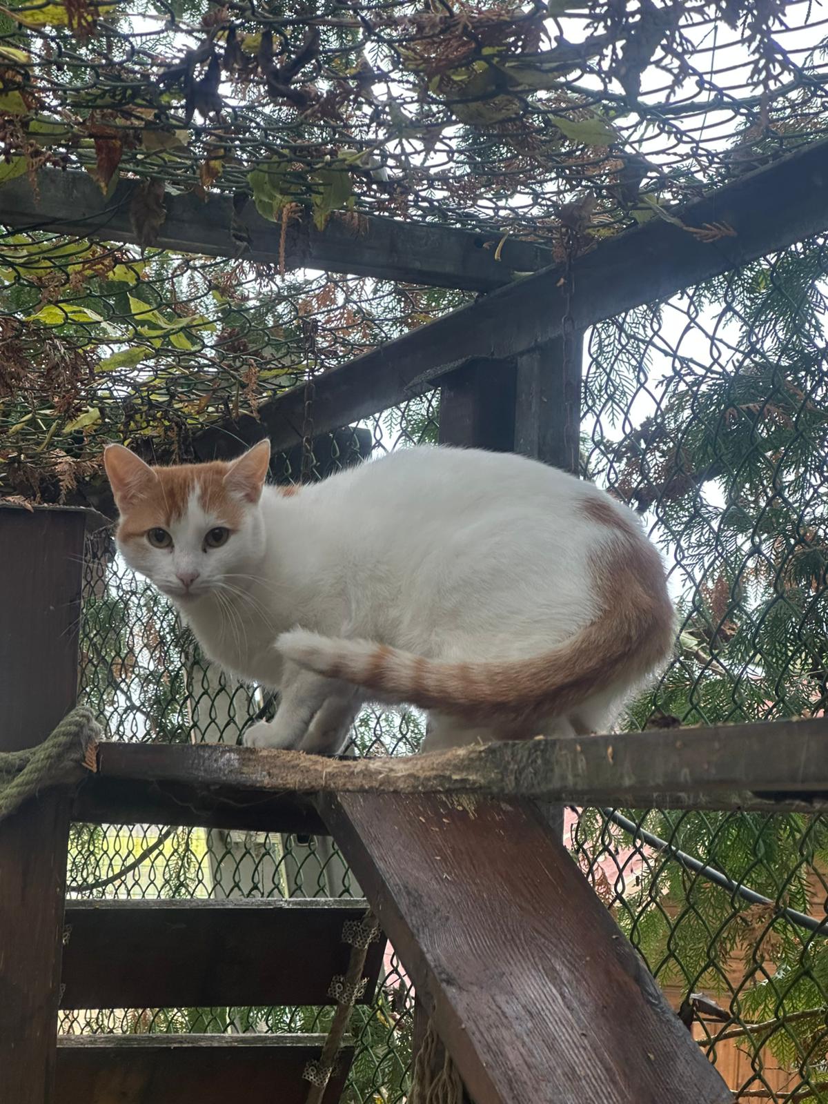 WhatsApp Bild 2025-10-27 um 14.45.37_1814d833