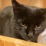 WhatsApp Bild 2025-10-27 um 19.09.59_5cbc87e2