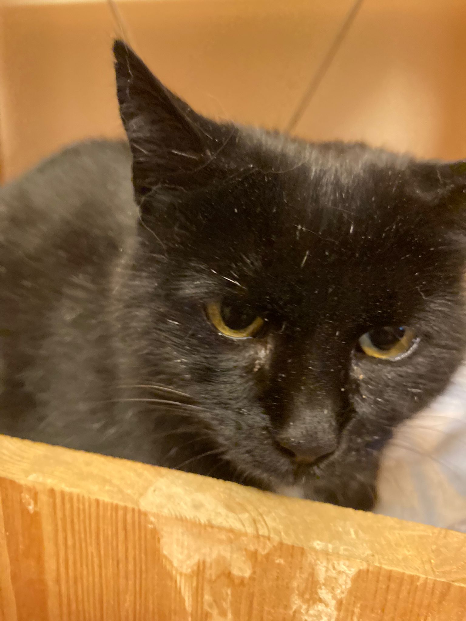 WhatsApp Bild 2025-10-27 um 19.09.59_5cbc87e2