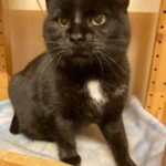 WhatsApp Bild 2025-10-27 um 19.09.59_dcfac29a