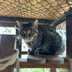 WhatsApp Bild 2025-10-30 um 08.52.54_439cbf65