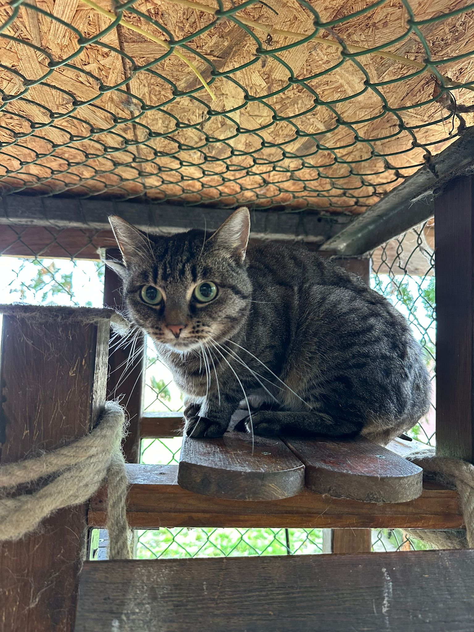 WhatsApp Bild 2025-10-30 um 08.52.54_439cbf65