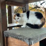 WhatsApp Bild 2025-10-30 um 08.57.04_685d1376