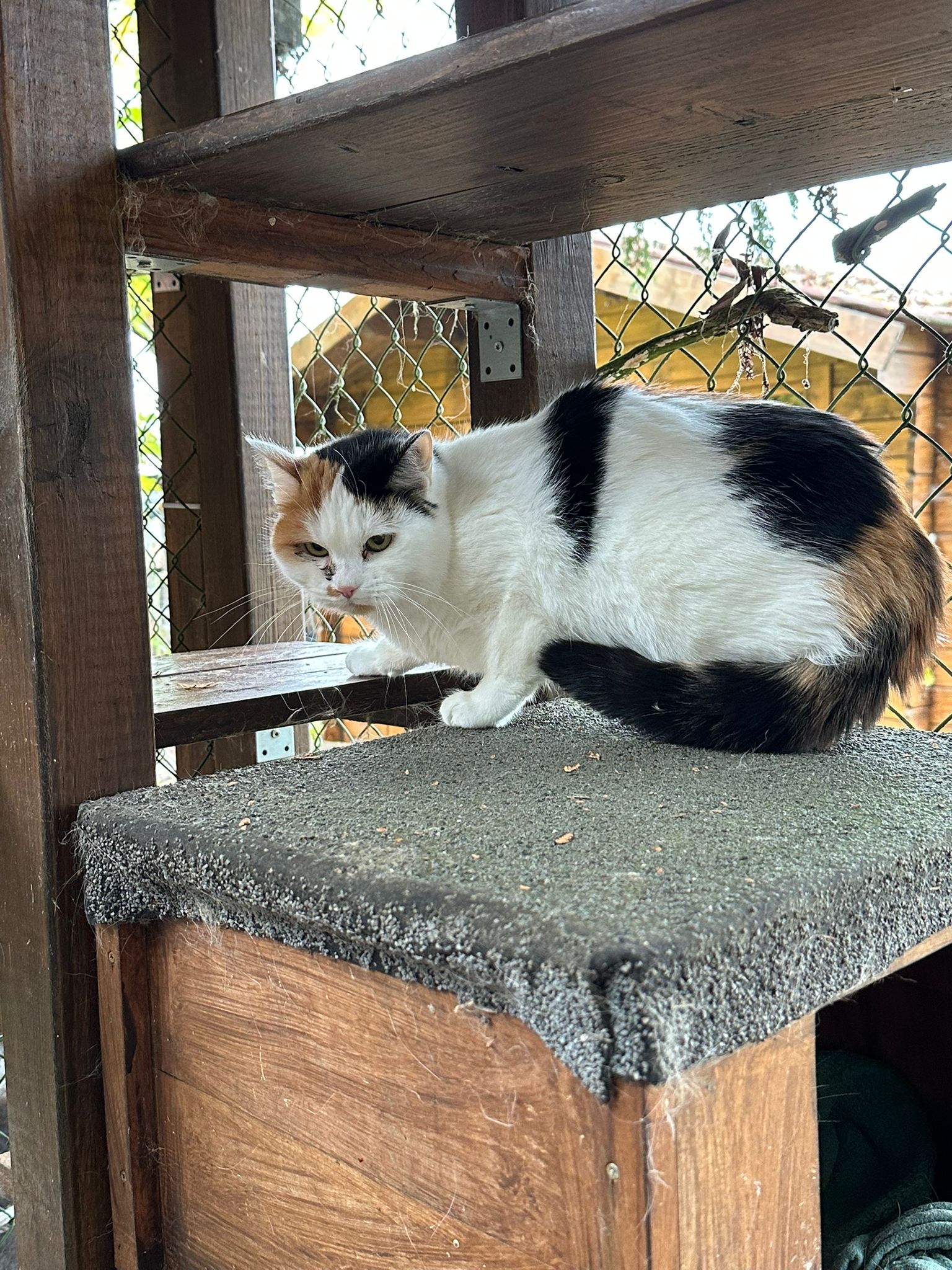 WhatsApp Bild 2025-10-30 um 08.57.04_685d1376