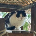 WhatsApp Bild 2025-10-30 um 09.02.43_0523758b