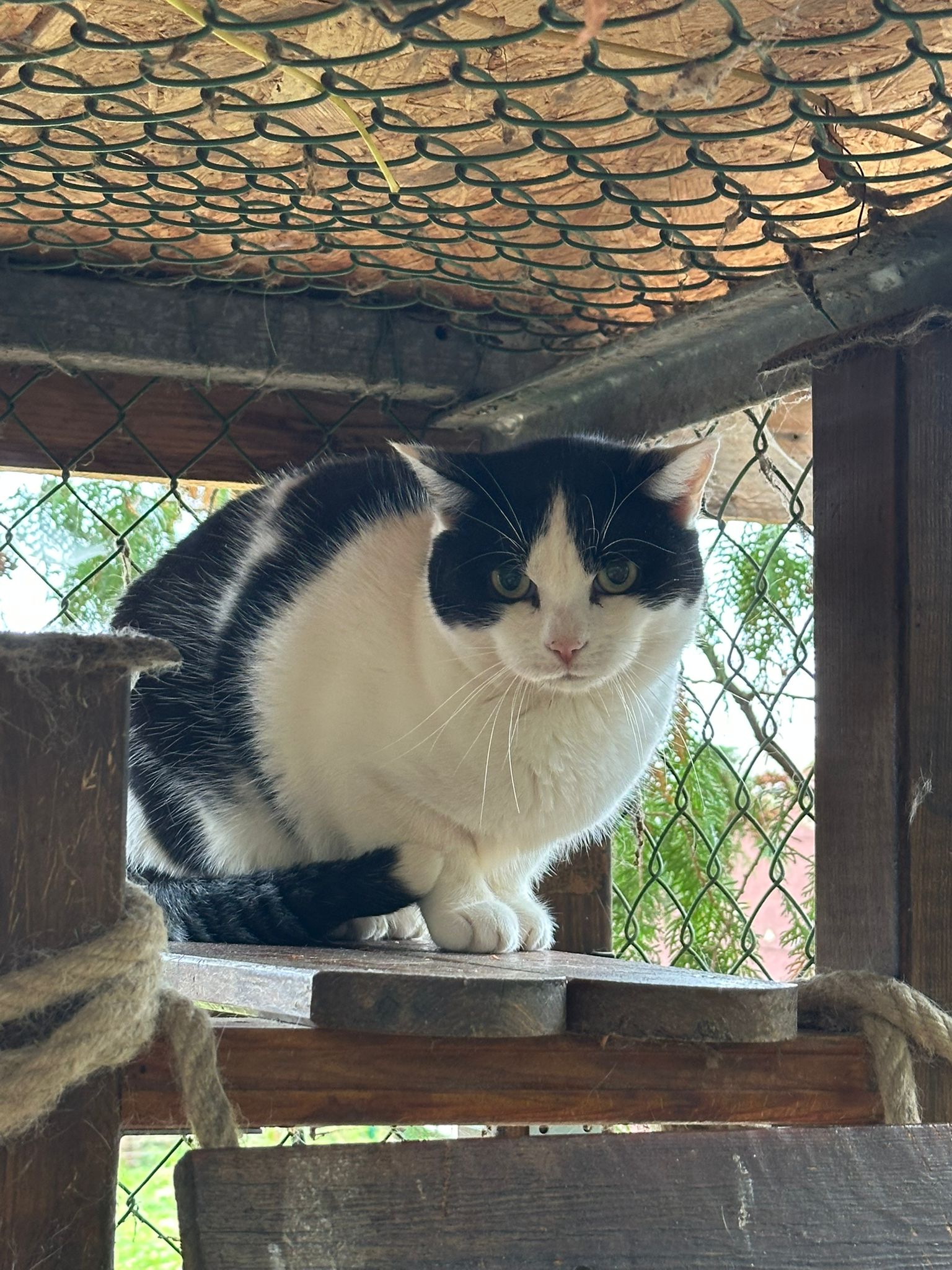 WhatsApp Bild 2025-10-30 um 09.02.43_0523758b