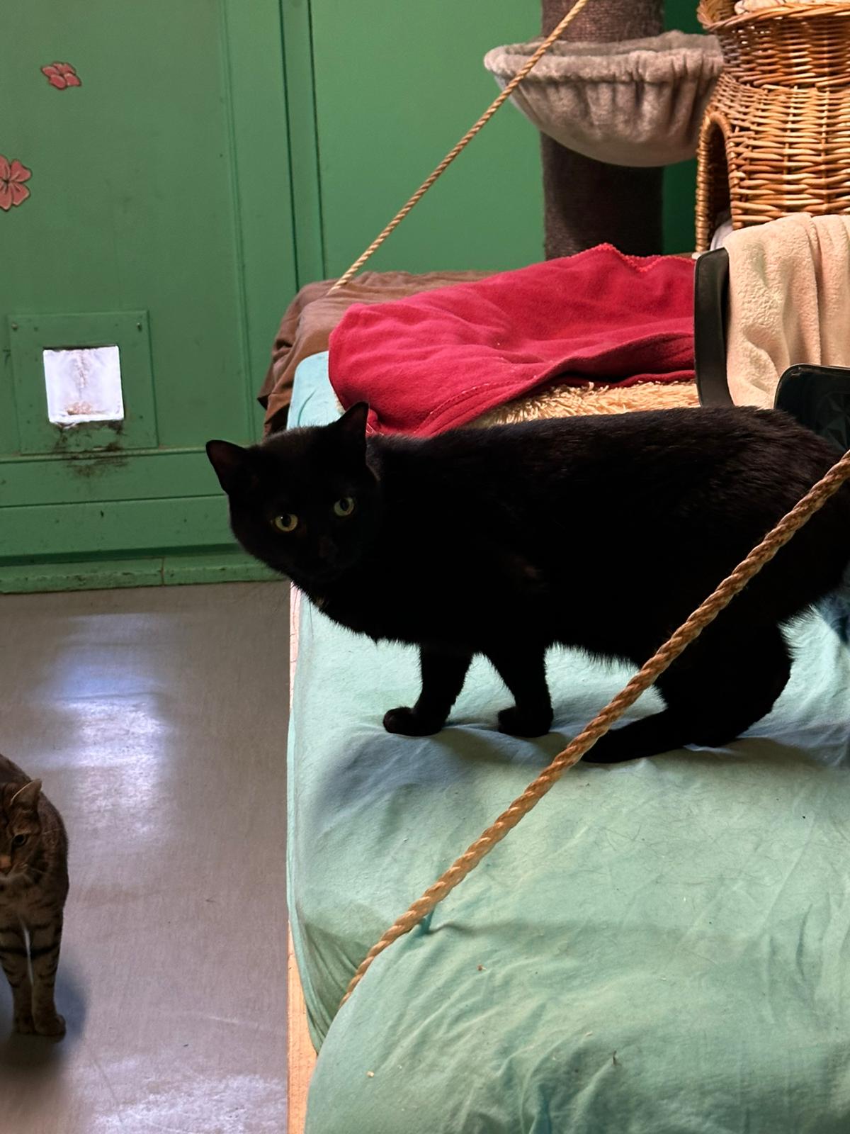 WhatsApp Bild 2025-10-30 um 16.05.59_b2007746