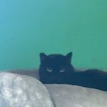 WhatsApp Bild 2025-10-30 um 16.11.08_fea83639