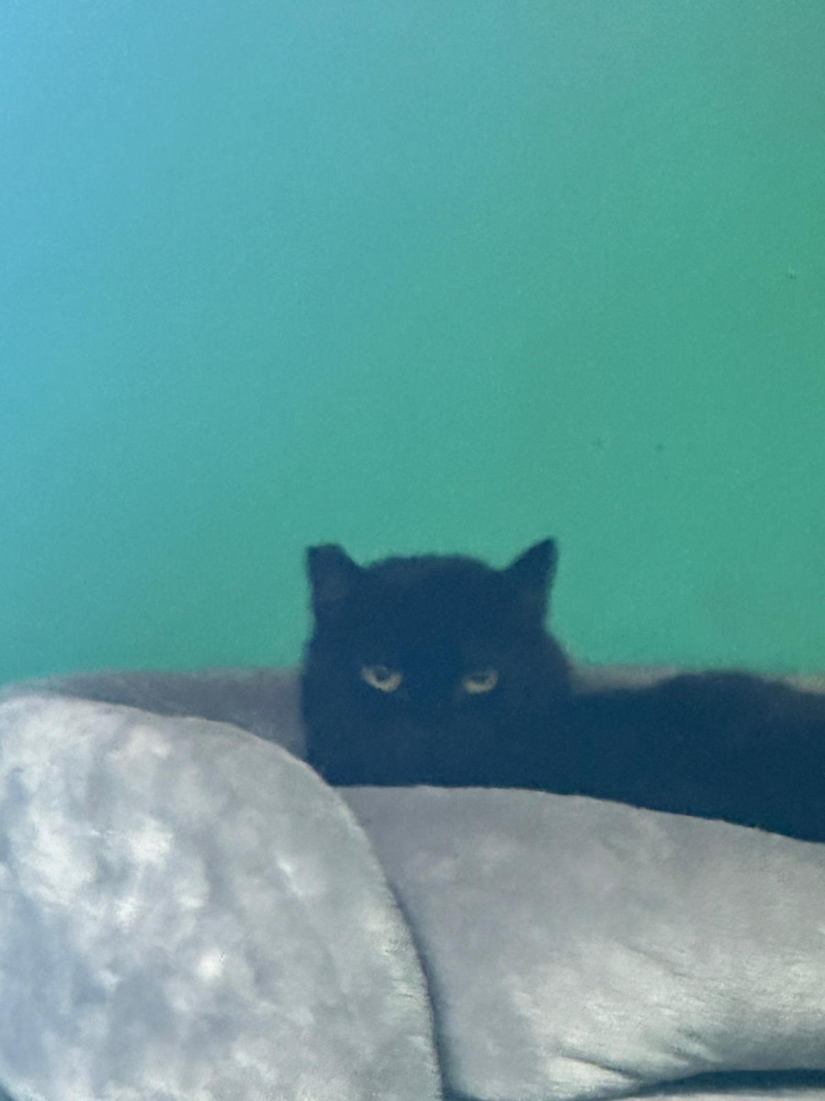 WhatsApp Bild 2025-10-30 um 16.11.08_fea83639