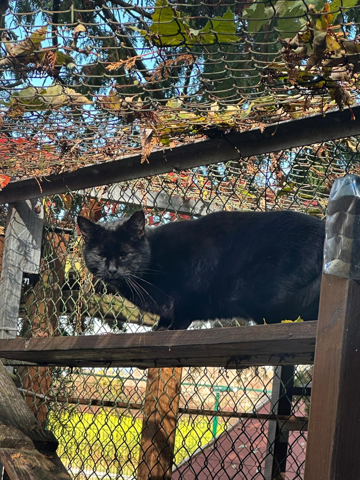 WhatsApp Bild 2025-10-30 um 16.19.38_fea1c48b